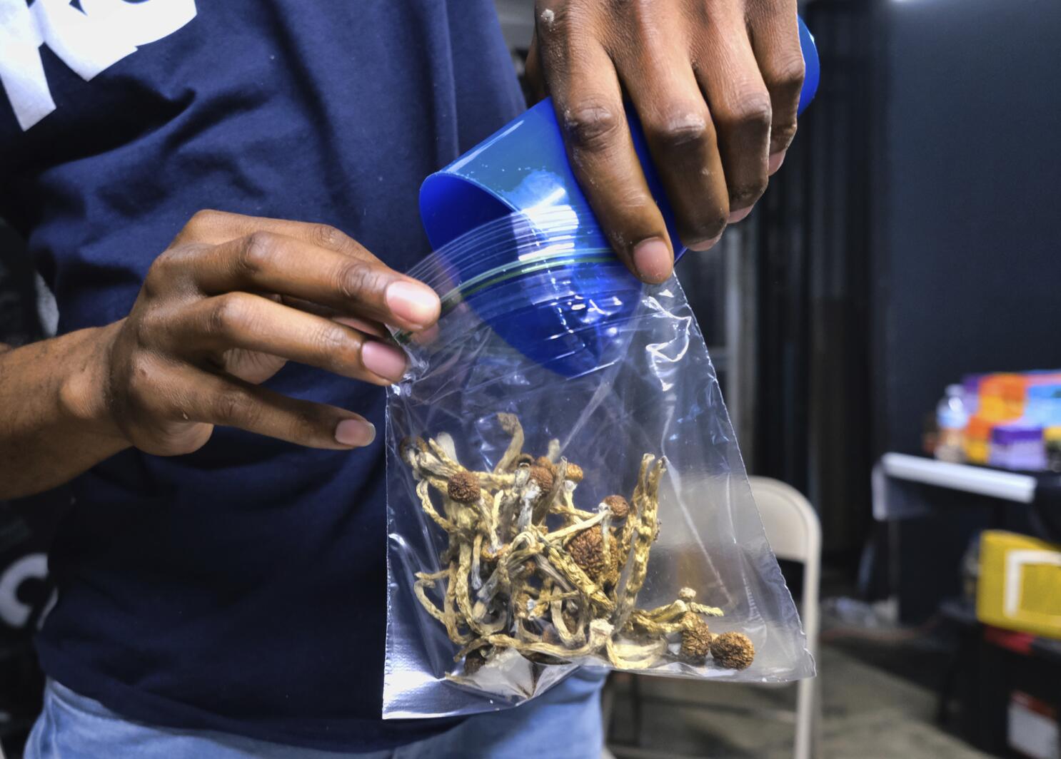 Buying Magic Mushrooms