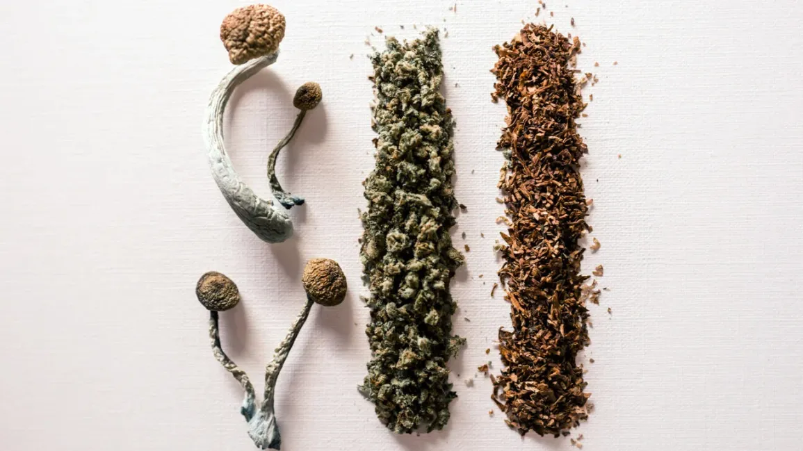 Can You Smoke Magic Mushrooms