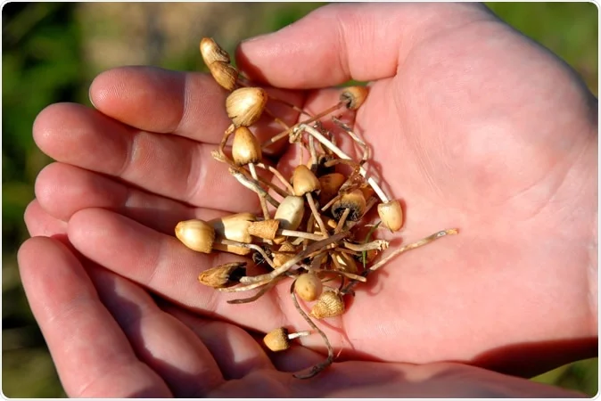 Dosage Of Magic Mushrooms