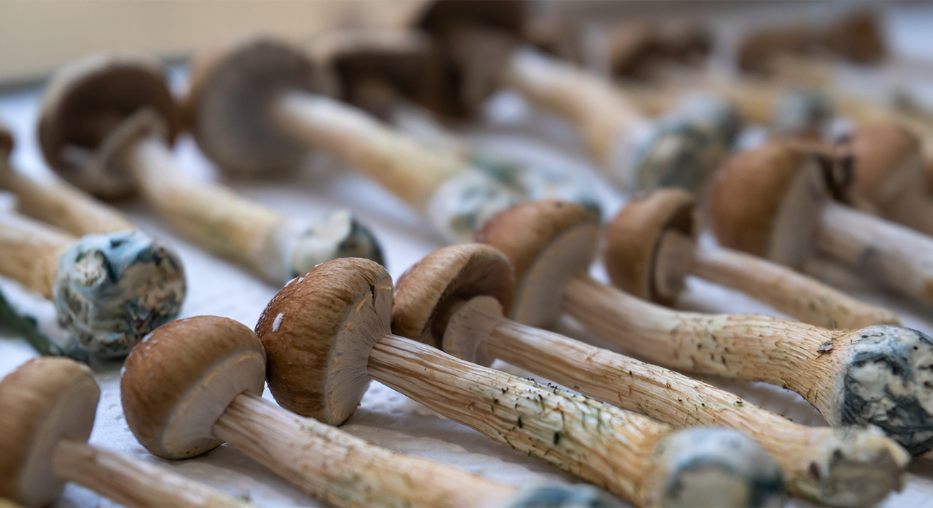 How Long Do Magic Mushrooms Take To Kick In