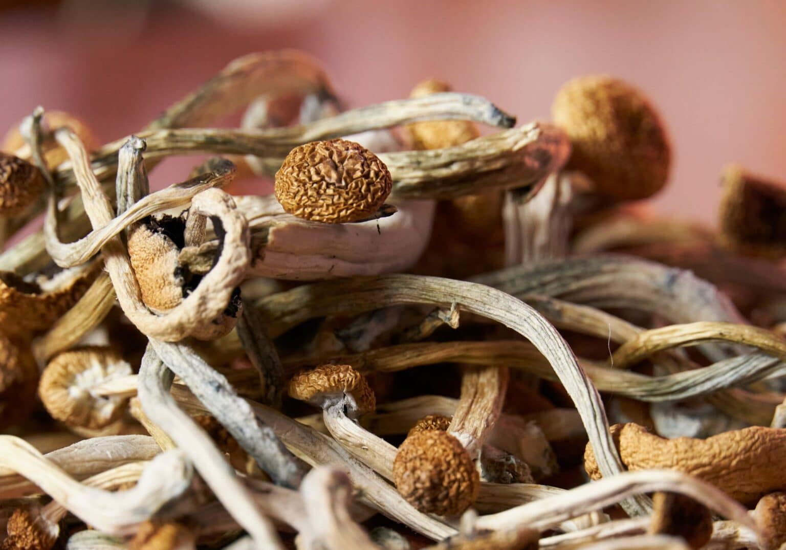 How Long Do.Magic Mushrooms Take To Kick In