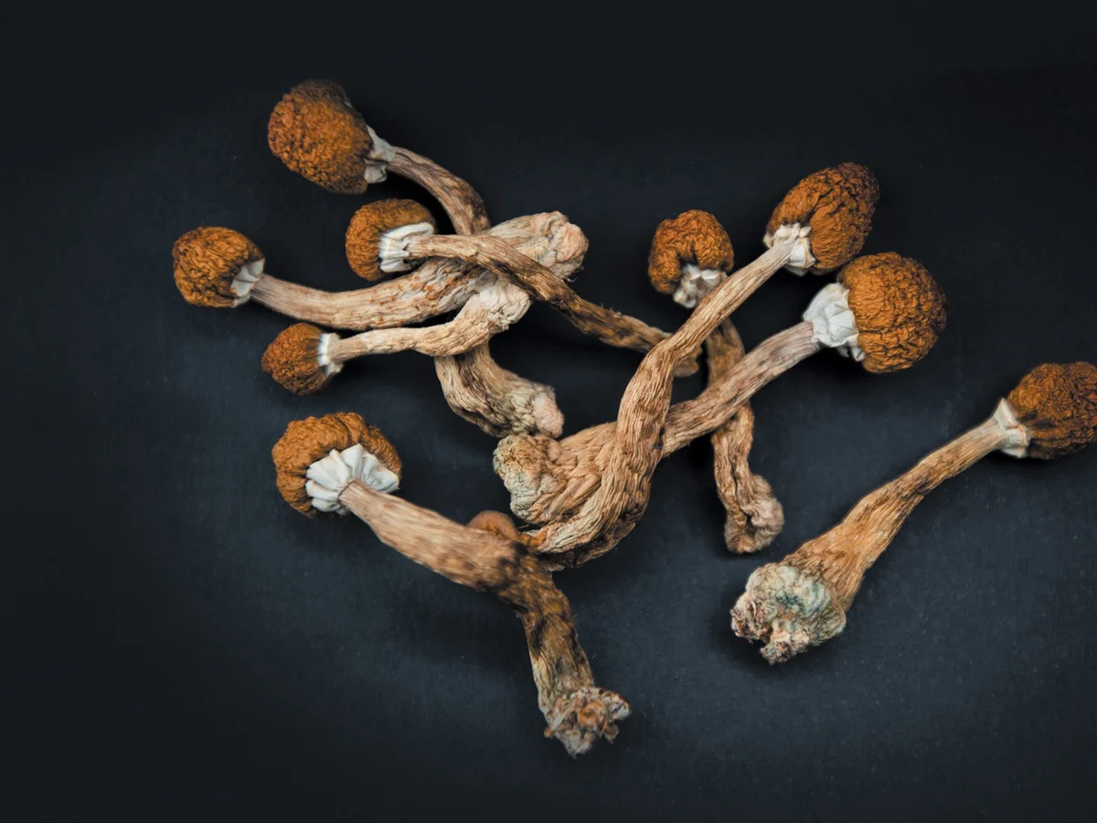 How Long Does A Magic Mushroom Trip Last