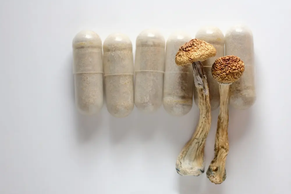 How Long Does Magic Mushrooms Stay In Your System