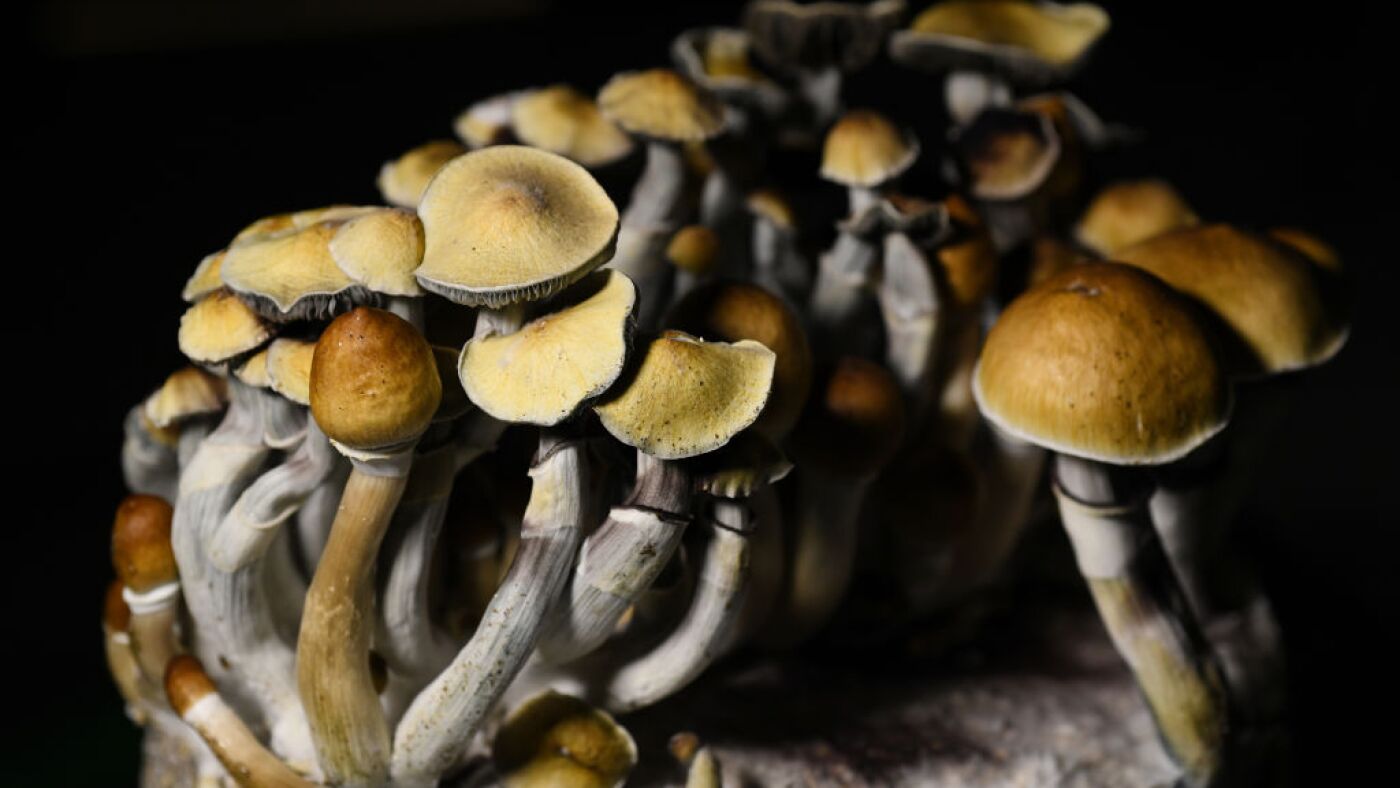 How To Take Magic Mushrooms