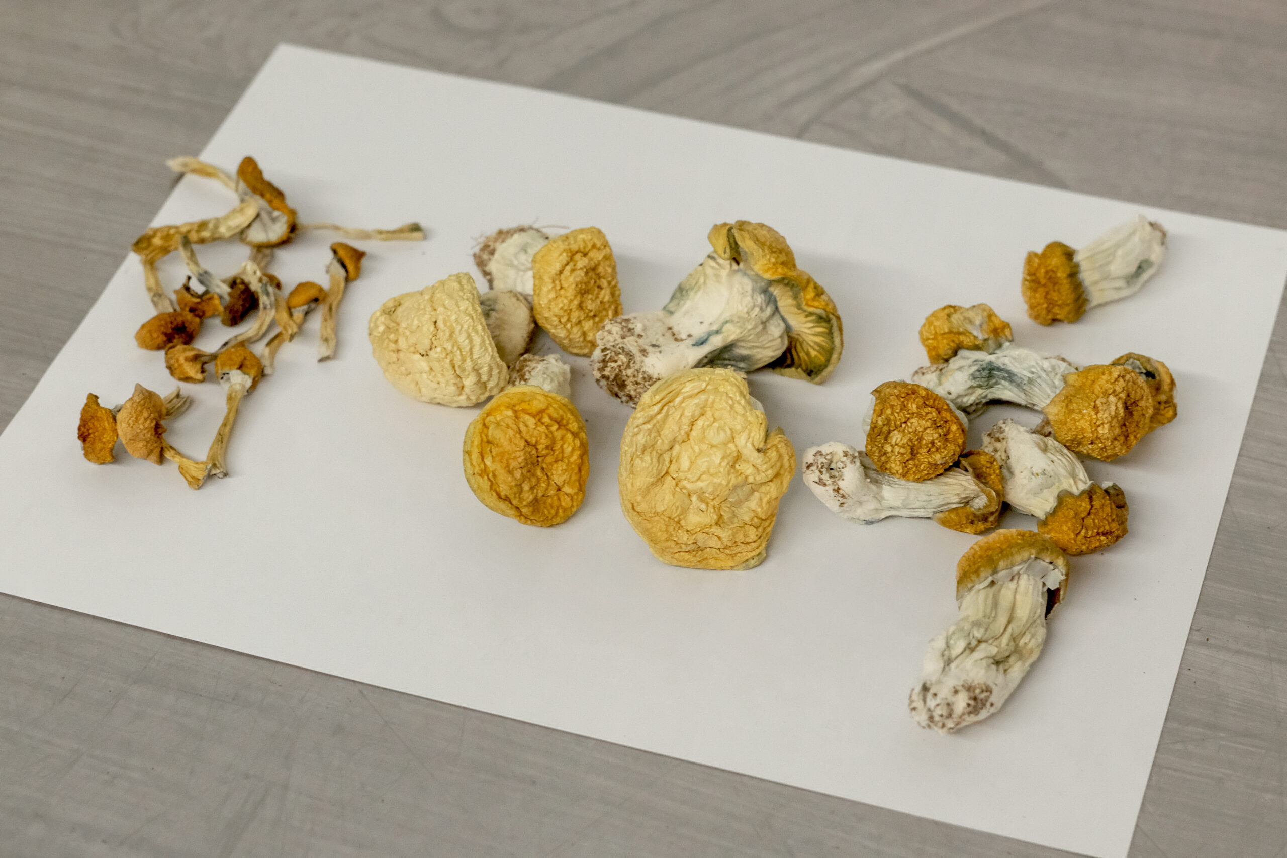 Magic Mushrooms For Sale