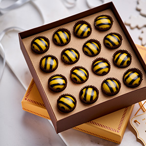 Magic Mushrooms In Chocolate