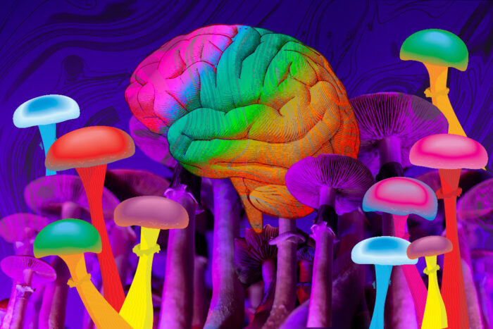 Mushrooms Magic Effects