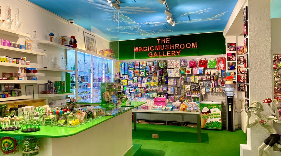 The Magic Mushroom Gallery